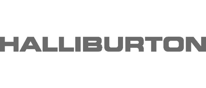 halliburton servicios esesa