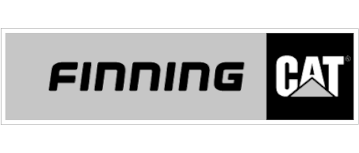 finning cat servicios esesa