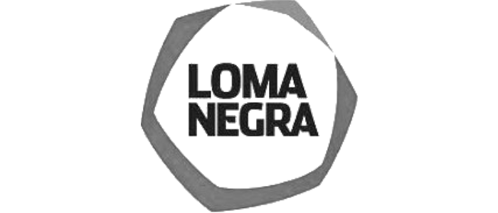 loma negra servicios esesa