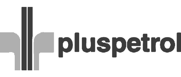 pluspetrol servicios esesa